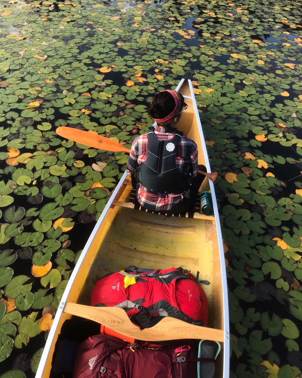Women in canoe floating in water, surrounded by lily pads