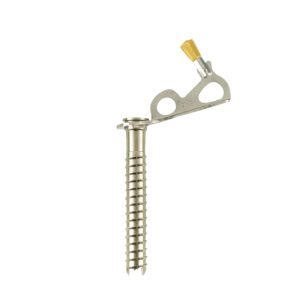Black Diamond Express Ice Screw - 13 cm
