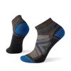 Smartwool Performance Hike Light Cushion Ankle Sock