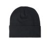 Arc’teryx Word Toque Beanie