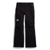 The North Face Freedom Insulated Pant – Women’s