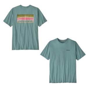 Patagonia Take A Stand Responsibili-Tee- Men’s