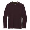 Smartwool Merino 250 Base Layer Crew – Men’s