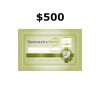 Backcountry North $500 Gift Certificate